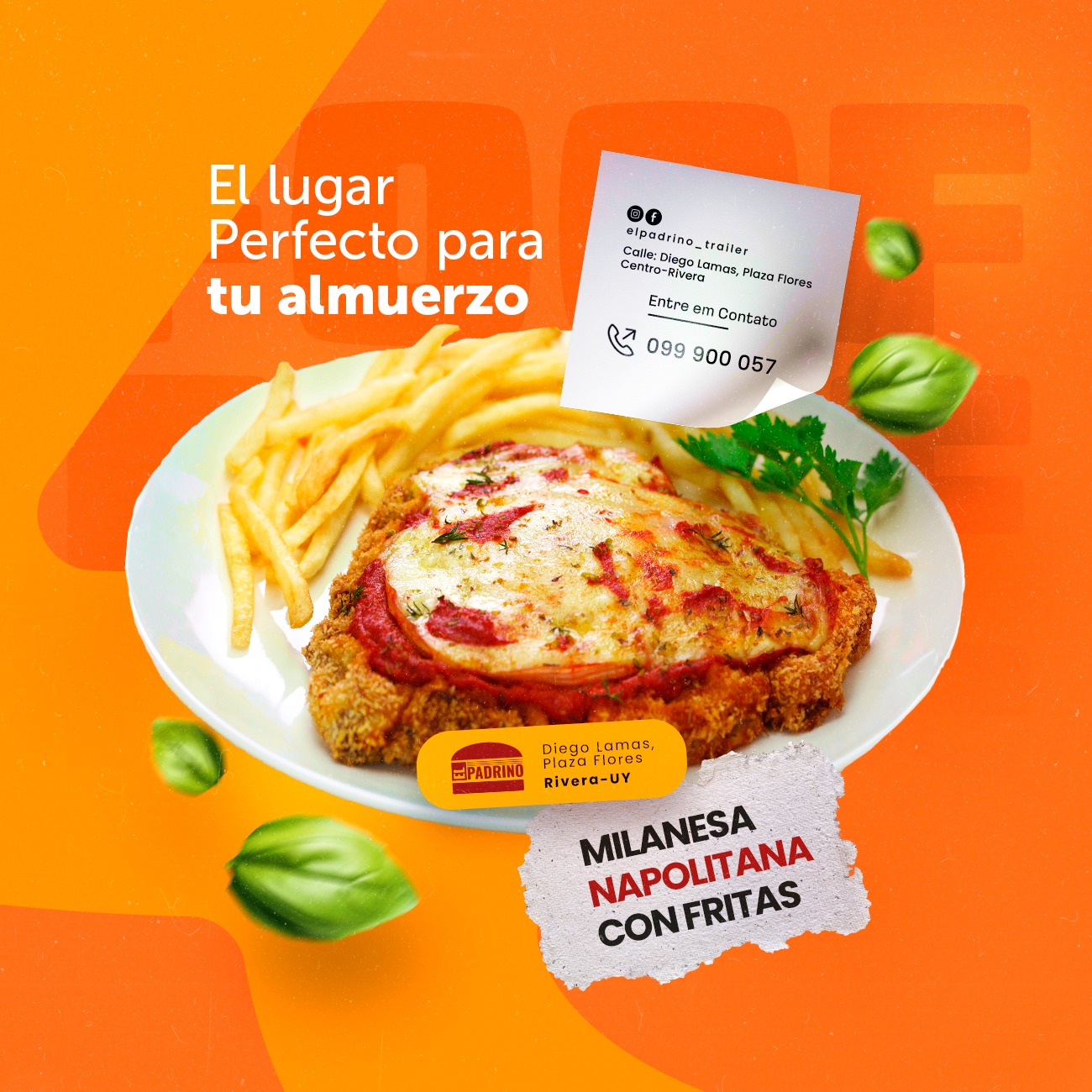Imagen de WhatsApp 2025-05-12 a las 12.31.37_d7303172